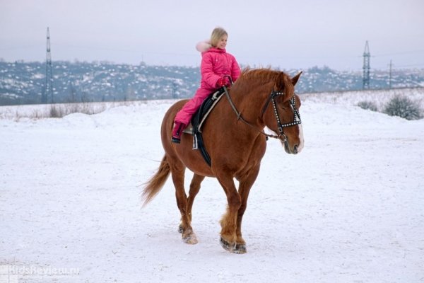 "Станица Вольная", конный клуб для всей семьи, обучение верховой езде, конные прогулки в деревне Ржавка, Нижегородская область