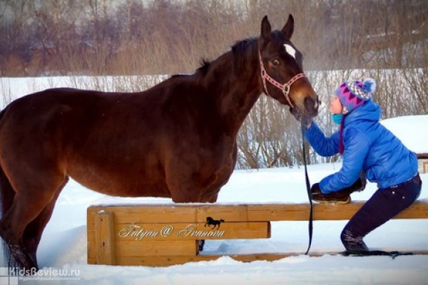КСК "Баланс", конный клуб, верховая езда для детей и взрослых в Томске