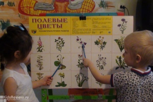 "Малыш", мини-садик для детей от 1 года до 7 лет в Центральном районе, Хабаровск