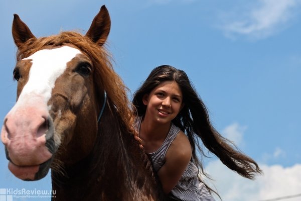 "Кобылкино счастье", конный клуб верховой езды в Хабаровске