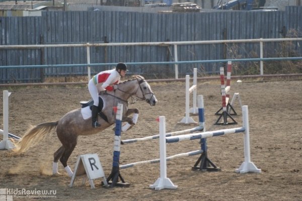 "Дельфин", конно-спортивный клуб, катание на лошадях в Хабаровске