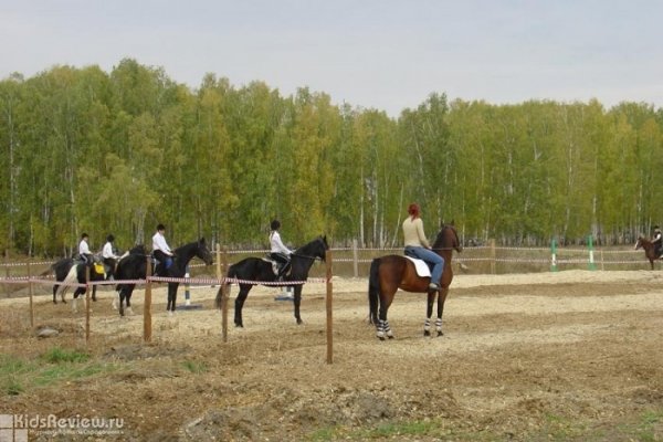 "АристократЪ", конный клуб, обучение верховой езде детей от 5 лет в Новосибирске