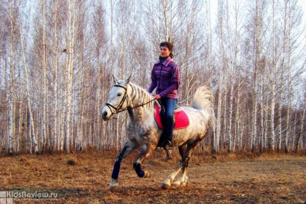 "Велес", конно-спортивный клуб в поселке Северный, Новосибирск