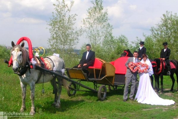"Мустанг", конный клуб, прокат лошадей, катание на лошадях в Новосибирске