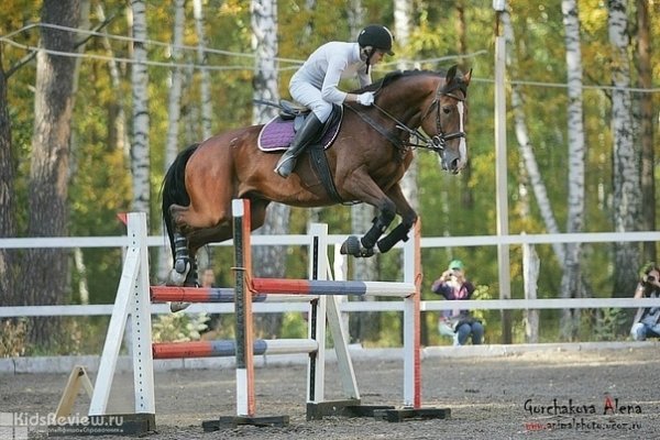"Кудряшовская Заимка", конно-спортивный клуб, аренда лошадей, верховая езда на лошадях в Новосибирске