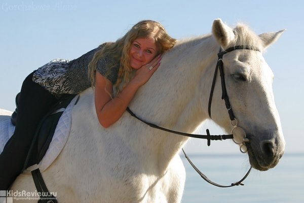 "У моря Обского", конный клуб, катание на лошадях в Новосибирске 