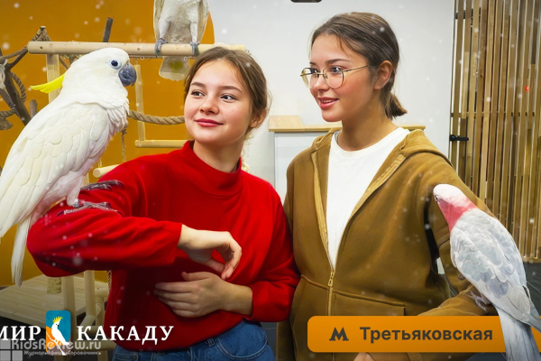 "Мир какаду", антикафе с ручными попугаями и PlayStation 5 на Якиманке, Москва