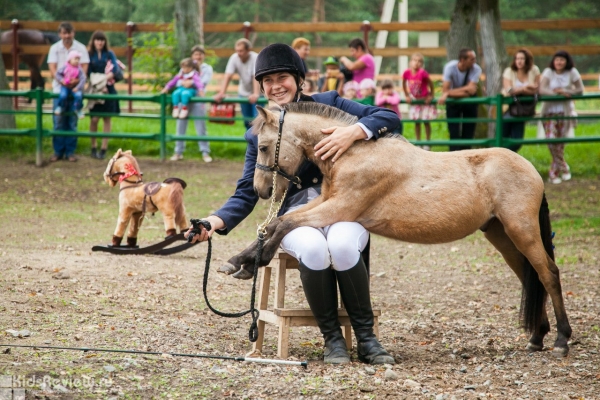 "Ассамблея", конный эко-клуб, конный театр, детские дни рождения с лошадьми в Балахнинском районе, Нижегородская область