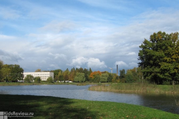 Озеро пелавское калининград фото
