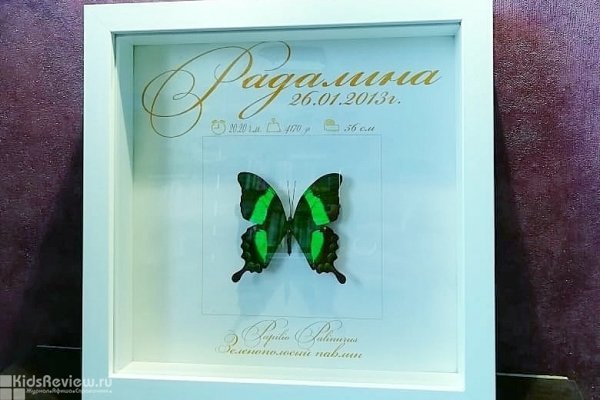 "В мире бабочек", продажа сувениров с бабочками, Новосибирск