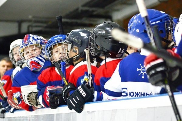 Smart Goalie, школа хоккейных вратарей для детей от 5 лет и взрослых в ЛК "Южный лед" в ЮЗАО, Москва