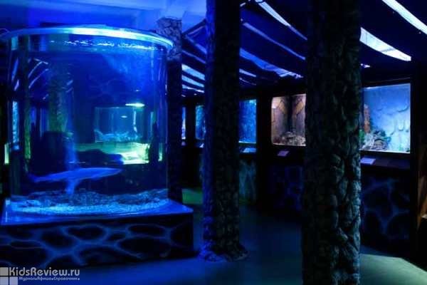 "Сочинский аквариум", аквариум и морской зоопарк на Новой Мацесте, Сочи