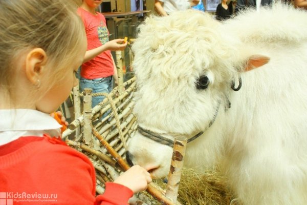 "Карнавал животных", выездной контактный зоопарк на детские праздники, Москва