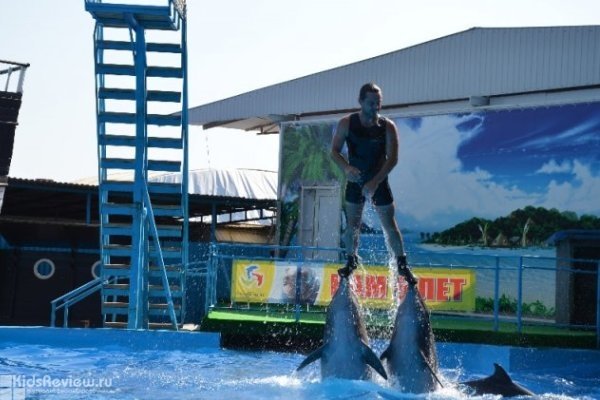 "Театр морских животных", Архипо-Осиповский дельфинарий, плавание с дельфинами, Геленджик