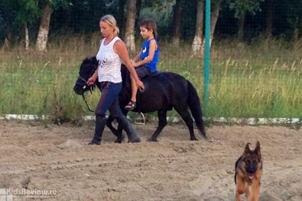 "Старочеркасская Ривьера", конные прогулки, катание на пони для детей, Ростовская область