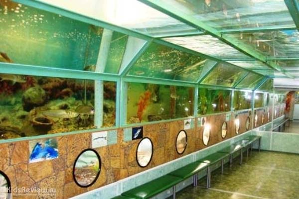 "Батискаф", морской аквариум в районе маяка, Анапа