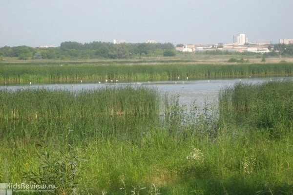 "Птичья гавань", природный парк в Левобережном районе Омска