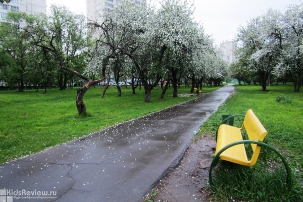 "Плодовый сад", парк в СЗАО, Москва