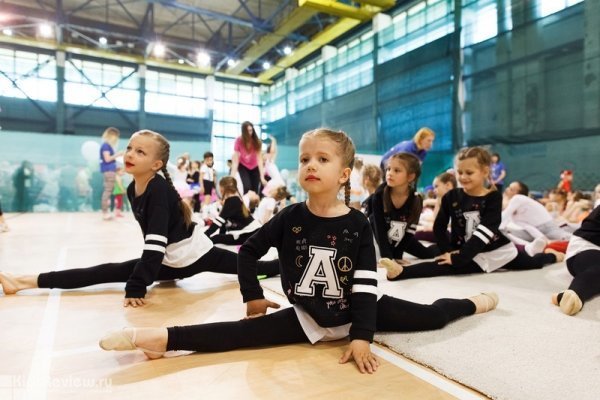 FD, детская спортивная школа по спортивной гимнастике и акробатике в Ново-Переделкино, Москва