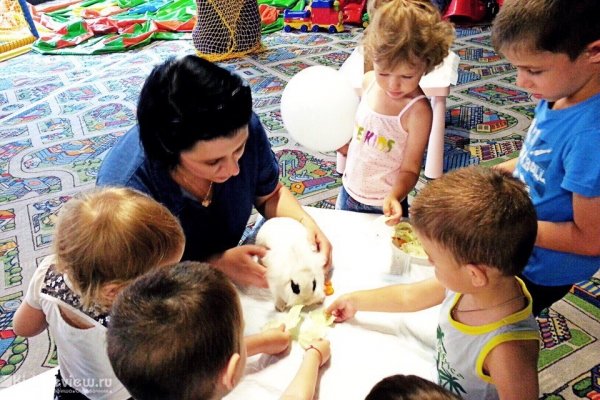 "Космик+", частный детский сад для малышей от 1,5 до 6 лет, развлекательный центр, Ростов-на-Дону