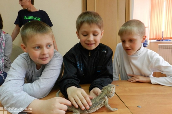 "Тропики", постоянная выставка экзотических животных, зоомагазин, экскурсии для детей и взрослых, Томск