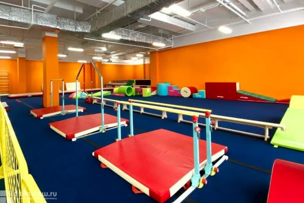 Европейский Гимнастический Центр Матвеевское, занятия развивающей гимнастикой и акробатикой для детей от 1 года в Москве