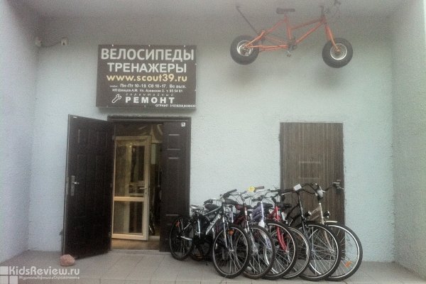 "Скаут", веломагазин, беговелы и детские велосипеды на Азовской, Калининград