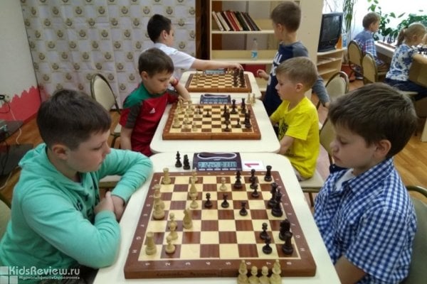 "Шахматное королевство", шахматный клуб на Академической, Москва