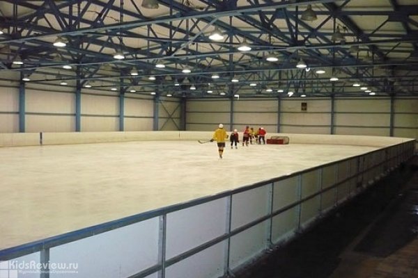 Icestyle, "Айсстайл", школа хоккейного мастерства, хоккей для детей в Екатеринбурге