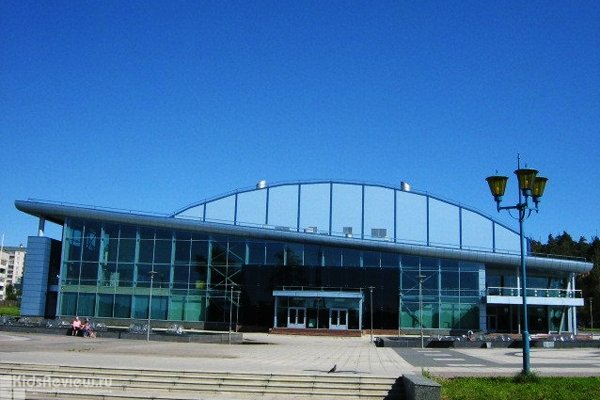 Дворец спорта ОАО "Кондопога" (Ледовый дворец в Кондопоге)