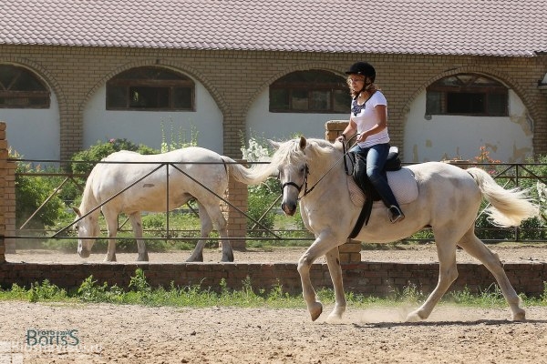 "Конфидо", конный клуб, контактный зоопарк в деревне Ореховка, Республика Татарстан