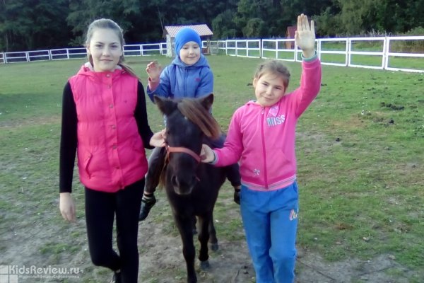 "Конек Горбунок", пони-ферма, мини-зоопарк, фотосессии с лошадьми, детские праздники в Калининградской области