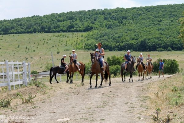 "Золотая шпора", конный клуб в поселке Гай-Кодзор, Анапа, Краснодарский край