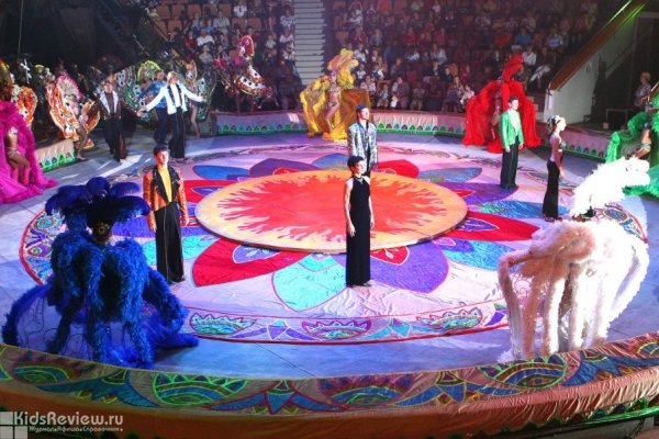 Волгоградский цирк, студия циркового искусства