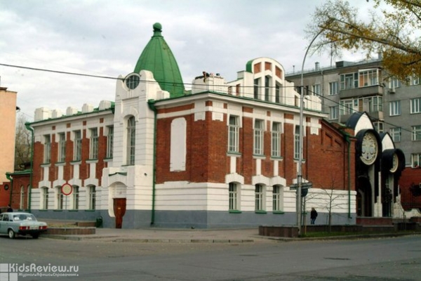 Новосибирский областной театр кукол, Детский кукольный театр, Новосибирск