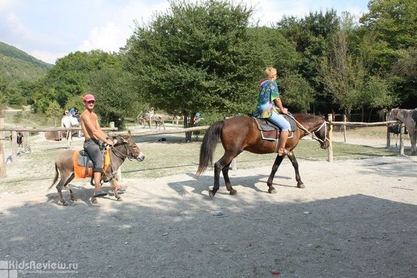 "Прасковеевка", конная база, конные прогулки для детей и взрослых, Геленджик