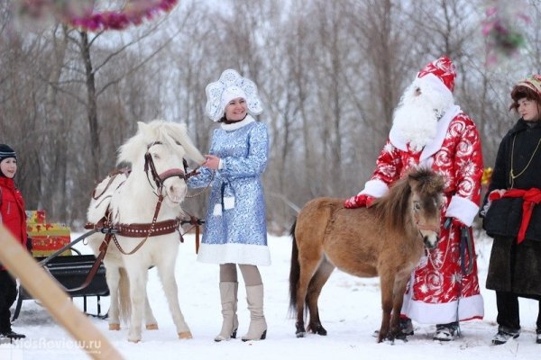 "Ого-го", пони-клуб, катание и прогулки на пони для детей в Новосибирске