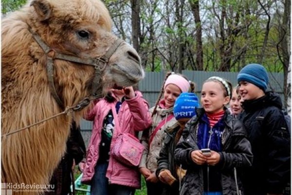 Зоопарк на Садгороде в пригороде Владивостока