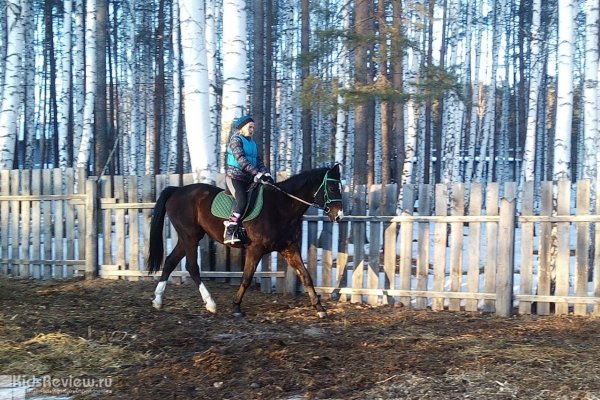 "Фактор", конный клуб, верховая езда для детей и взрослых, катание на пони, фотосессии с лошадями, Екатеринбург