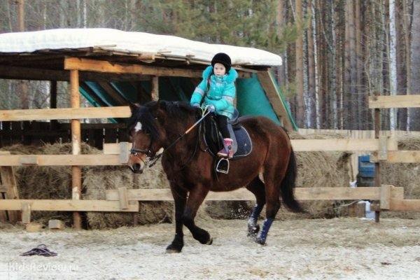 "Березит", конный клуб, обучение верховой езде, конные прогулки, детский конный лагерь, фотосессии с лошадями в поселке Березит, Екатеринбург