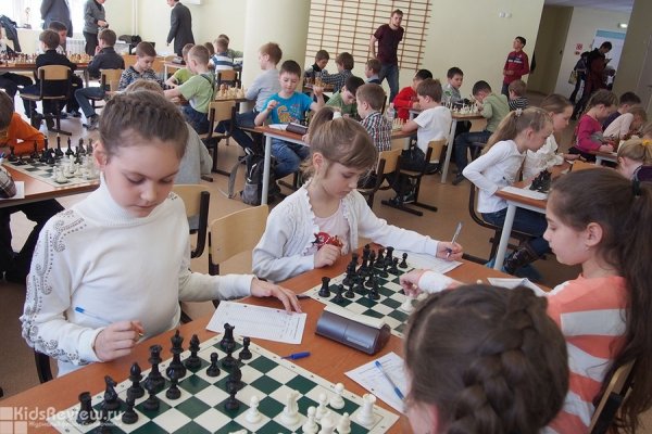 "Чайка", центр дополнительного образования, кружки, студии и секции для детей в Первореченском районе, Владивосток