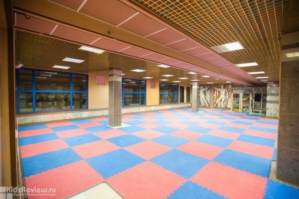 Центр спортивного воспитания, секции для детей во Дворце спорта, Нижний Новгород