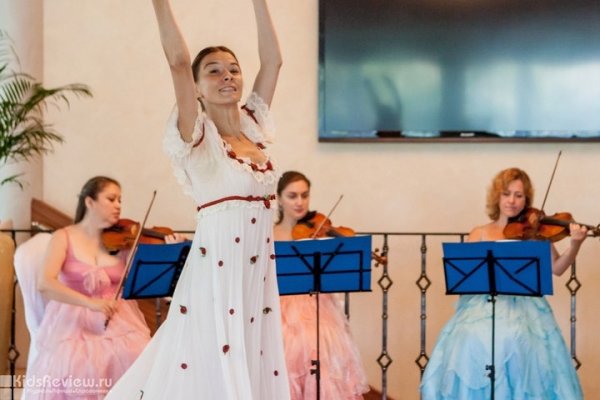 Baby orchestra, концерты живой музыки для малышей, Москва