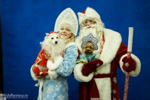 "Время веселья", проведение детских праздников и игр, Москва 