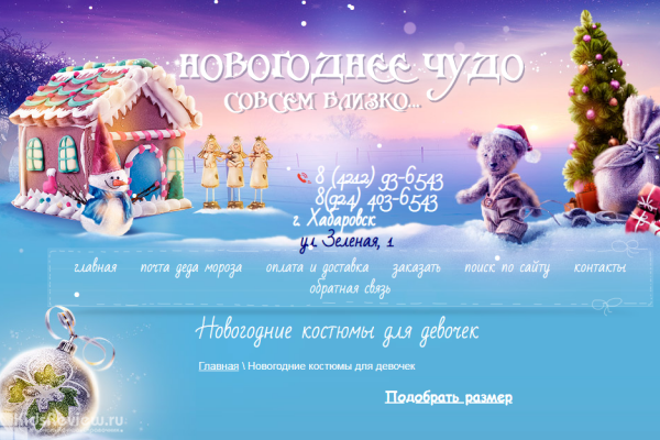 "Новогоднее чудо", новогодние костюмы для детей, видеописьмо от Деда Мороза, Хабаровск