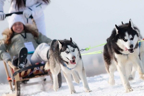 "Аквилон", этнический центр, питомник собак, праздники для детей, Челябинская область