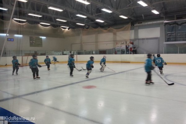 "Феникс", ДЮСШ по хоккею с шайбой, хоккей, фигурное катание и кёрлинг для детей в Калининграде