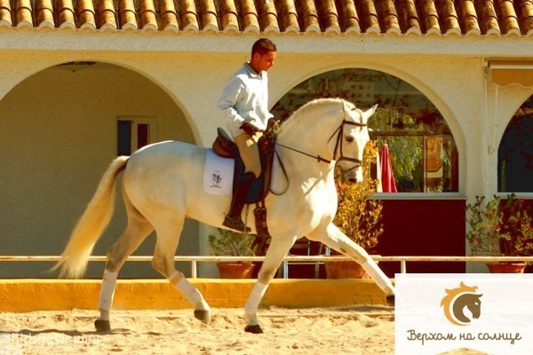 "Верхом на солнце", детский конный лагерь в Испании