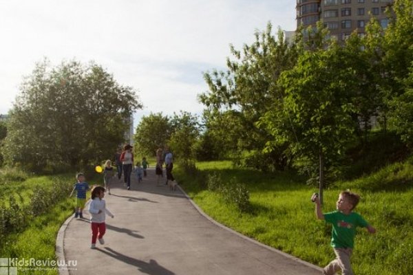 Детский городской летний лагерь при Montessori Kid Center в Москве
