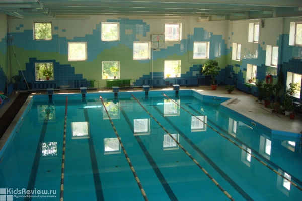 Aqville, школа синхронного плавания и водного поло для детей в Братеево, Москва